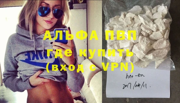 дживик Анжеро-Судженск